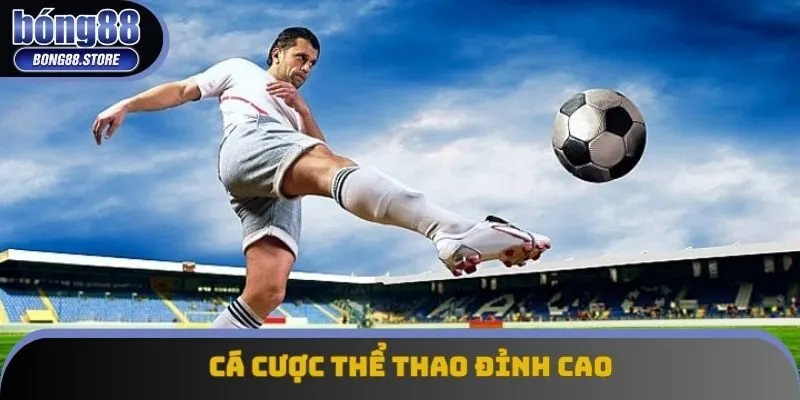 Cá cược thể thao đỉnh cao Cá cược thể thao đỉnh cao